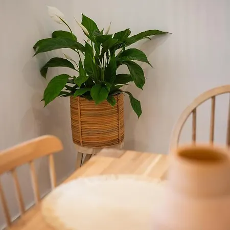 Lookout Tatil Evi Nazaré